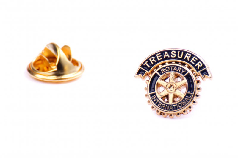 Treasurer Pin