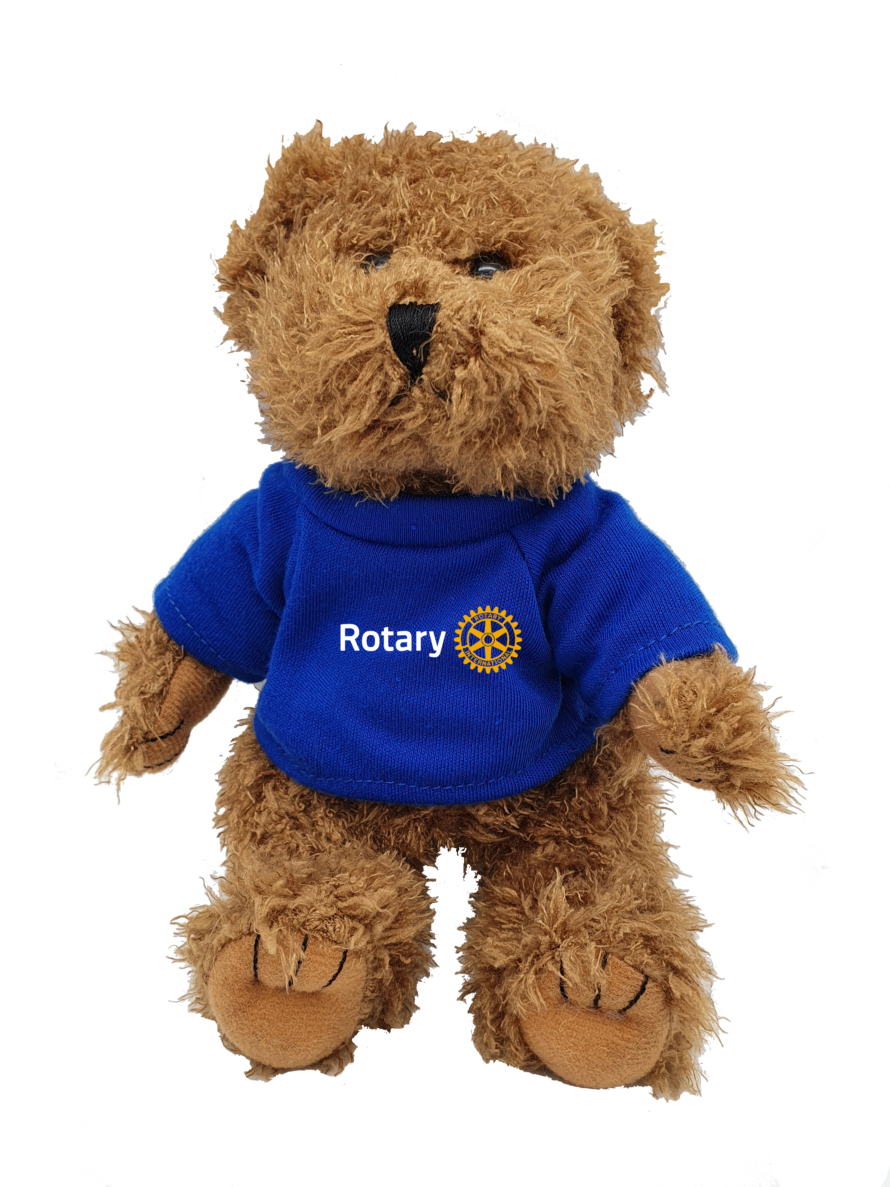 Ours en peluche