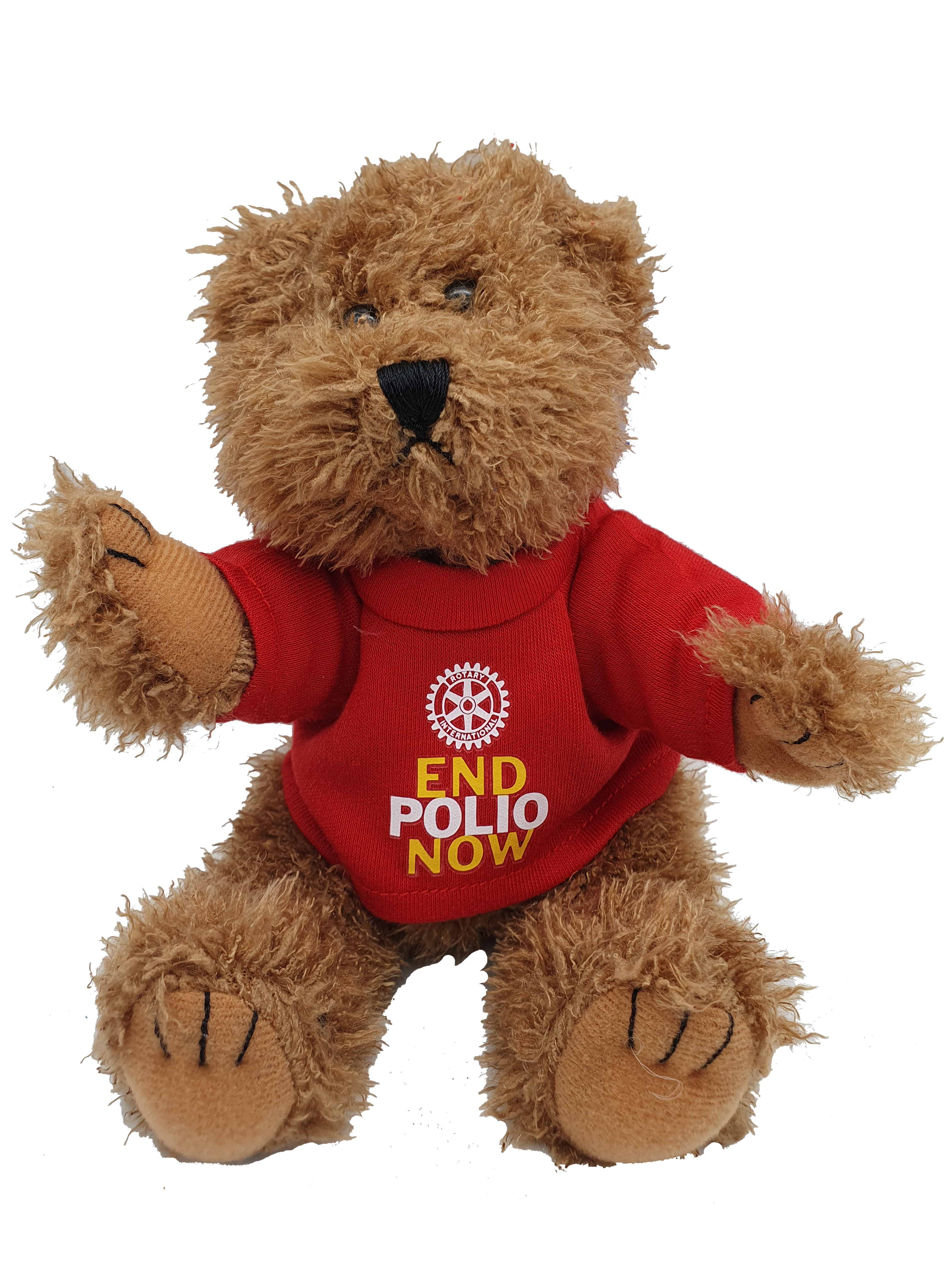 Teddy Bear 
